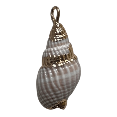 Mer & coquillages