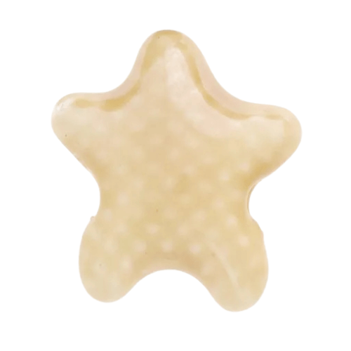 Petite étoile de mer crème - 12x10mm