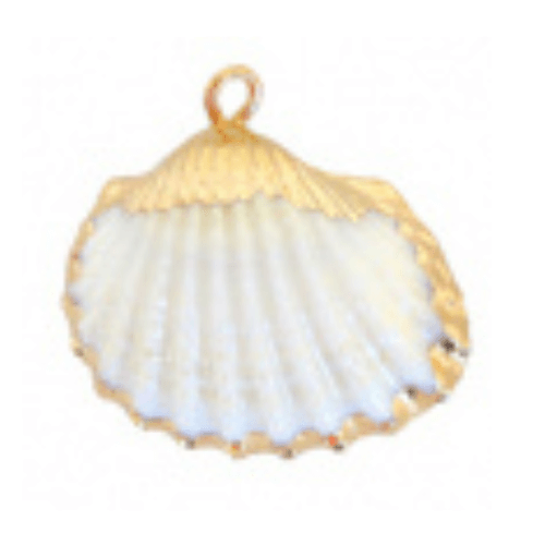 Mer & coquillages
