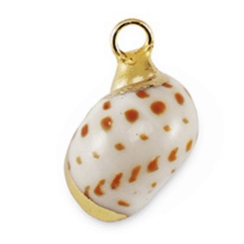 ⚠️ Coquillage escargot tacheté orange - 18x12mm