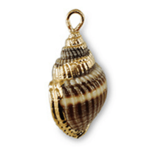 Mer & coquillages