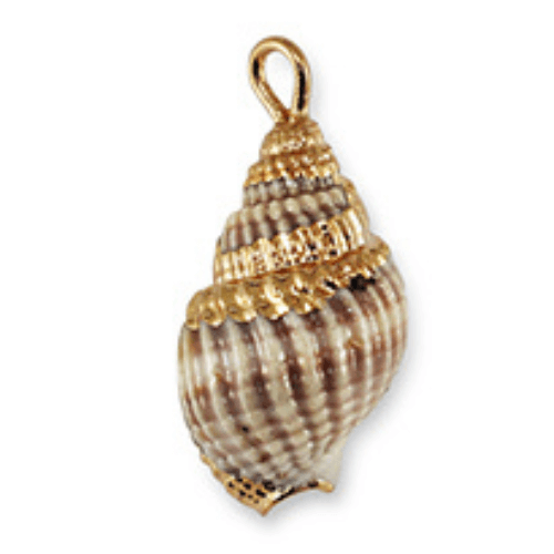 Mer & coquillages
