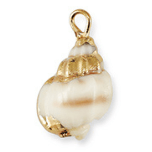Mer & coquillages