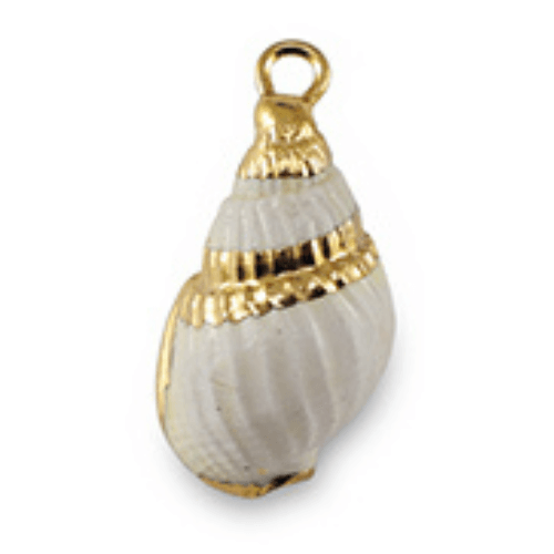 ⚠️ Coquillage crème - 12x8mm