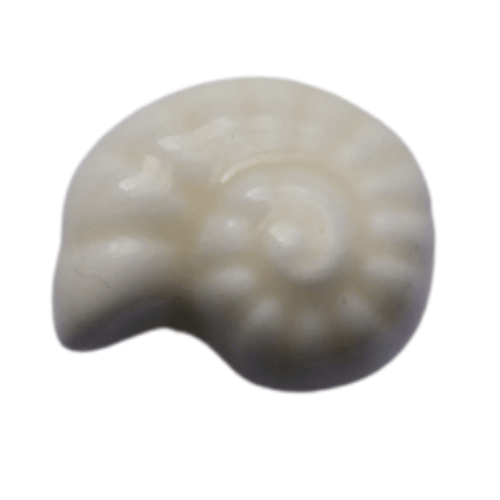 Escargot de mer beige - 15x8mm