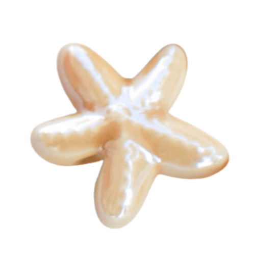 Étoile de mer camel - 18mm