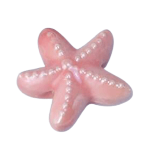 Étoile de mer rose corail - 18mm