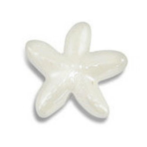 Étoile de mer blanc - 18mm