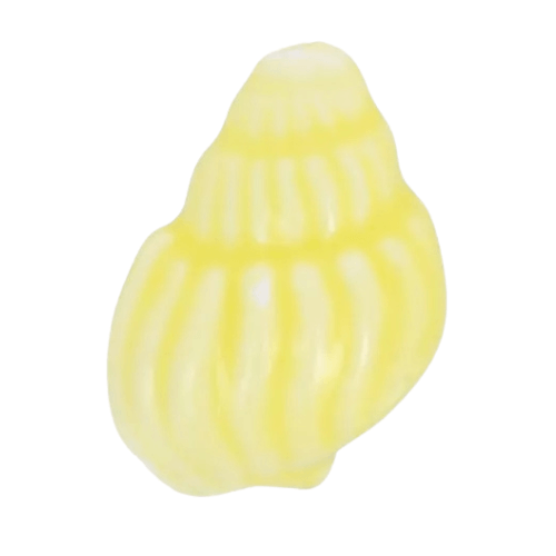 Coquillage escargot jaune - 21x14mm