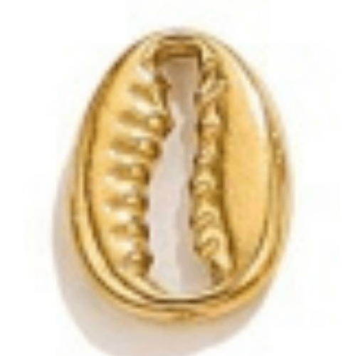 Coquillage or - 11x8mm