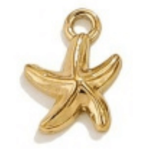 Étoile de mer - 12x11mm