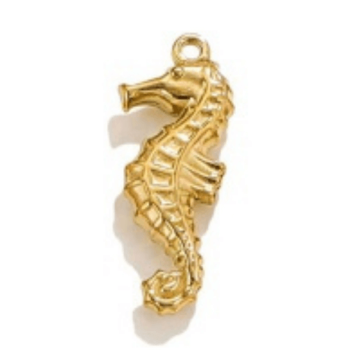 Autres animaux marins