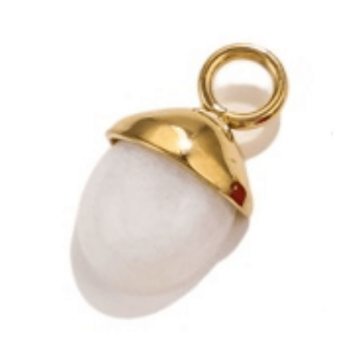 Gland de chêne blanc - 11x9mm