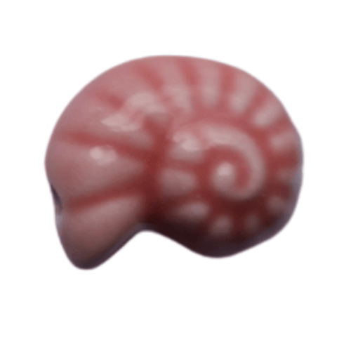 Escargot de mer  vieux rouge - 15x8mm
