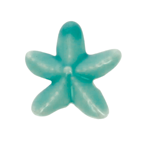 Étoile de mer bleu turquoise - 18mm
