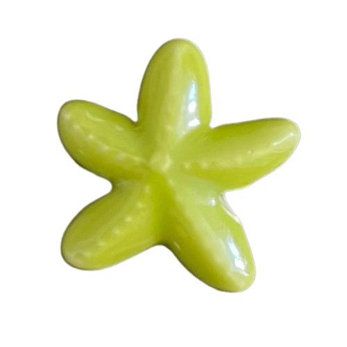 Étoile de mer vert anis - 18mm